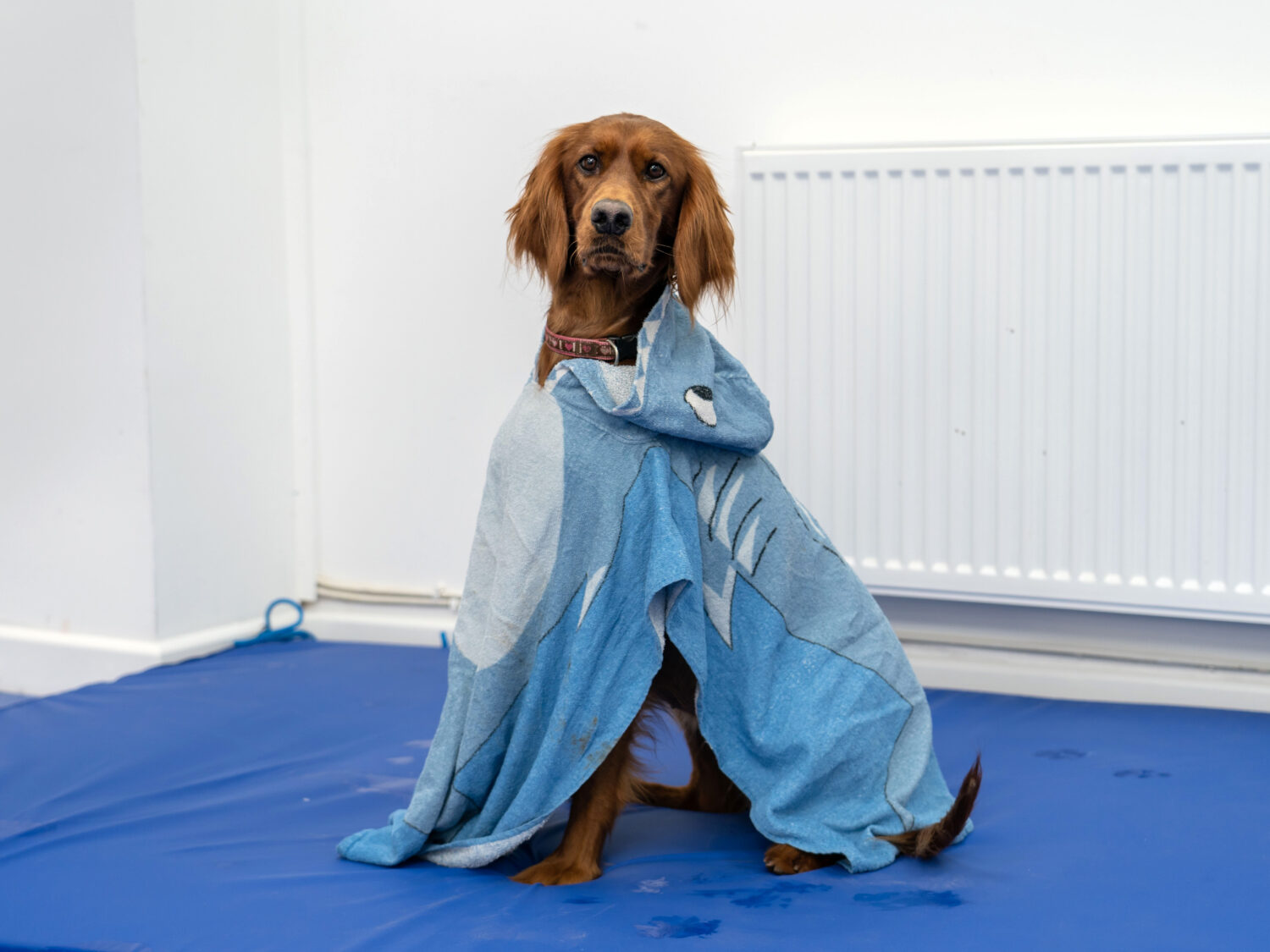 Queen Tara in royal robes