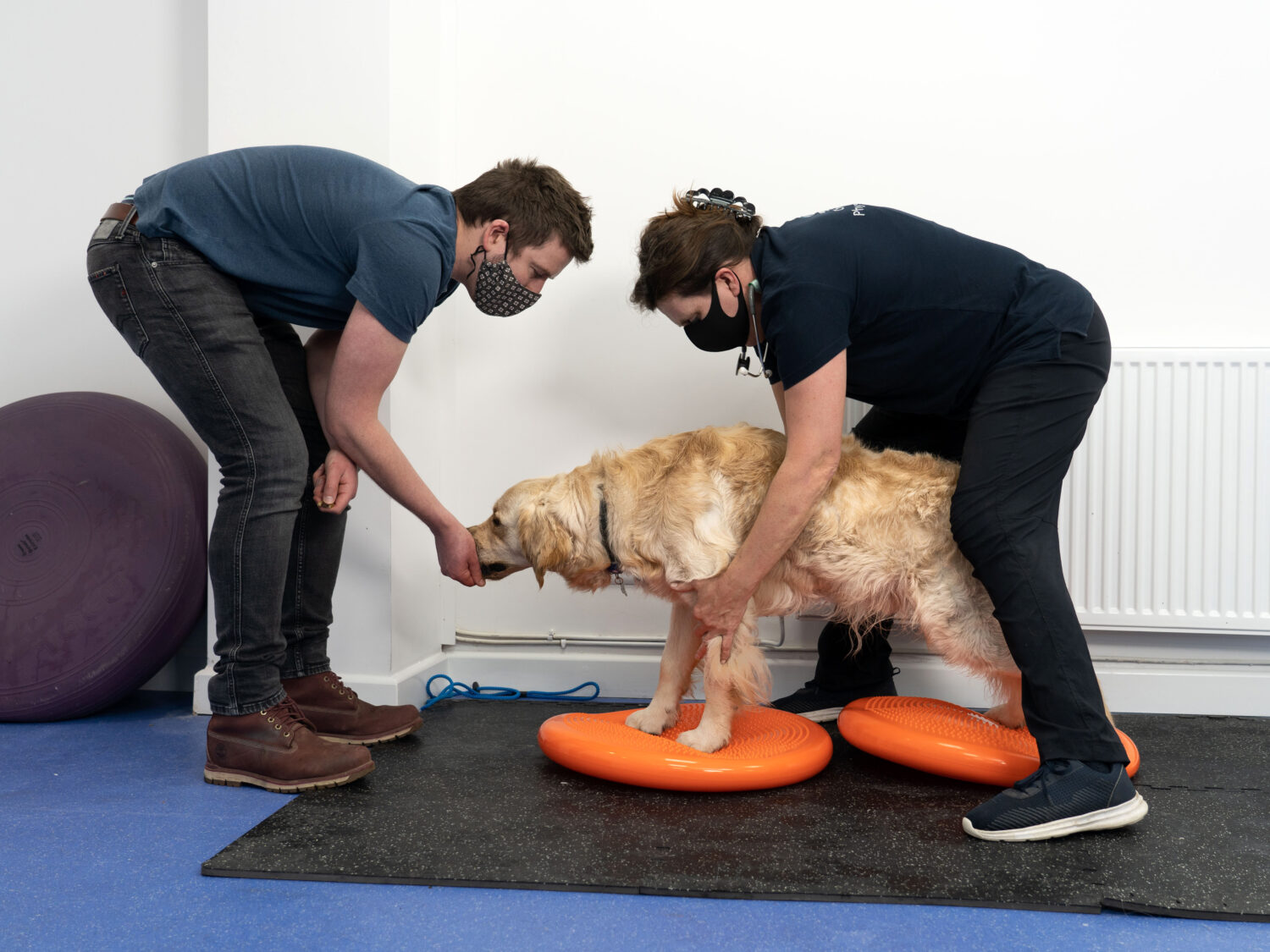 Owner and Dog during Physiotherapy