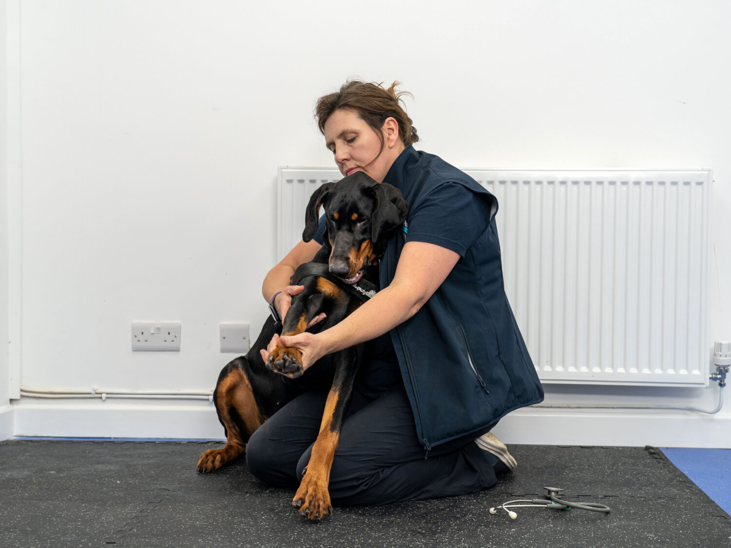 Denise doing Physiotherapy with a dog