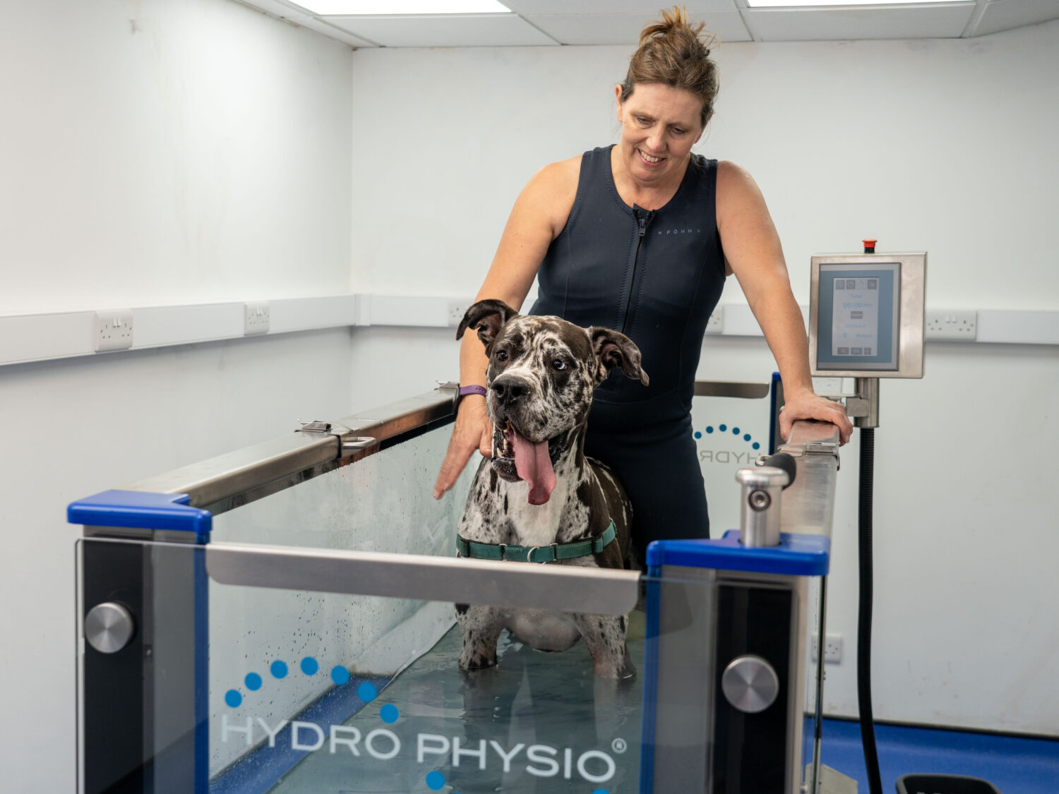 Hydrotherapy Treadmill